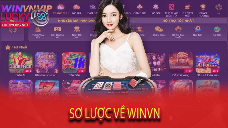 Sơ lược về Winvn
