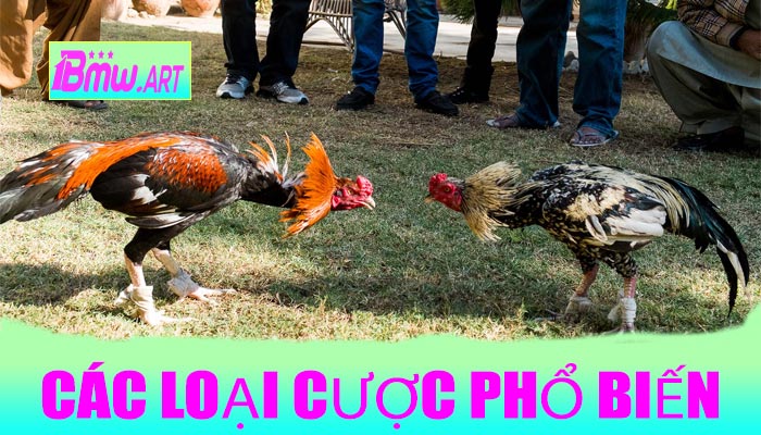 Các loại cược phổ biến