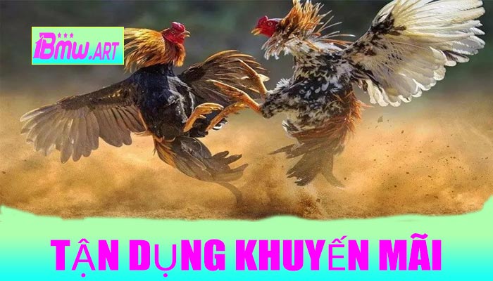 Tận dụng khuyến mãi